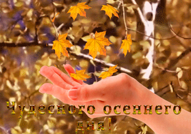 Осеннего Дня Фото Прикольные