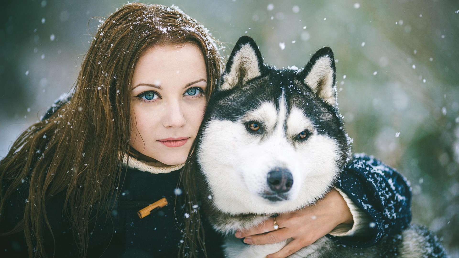 Собака хаски, девушка, зима