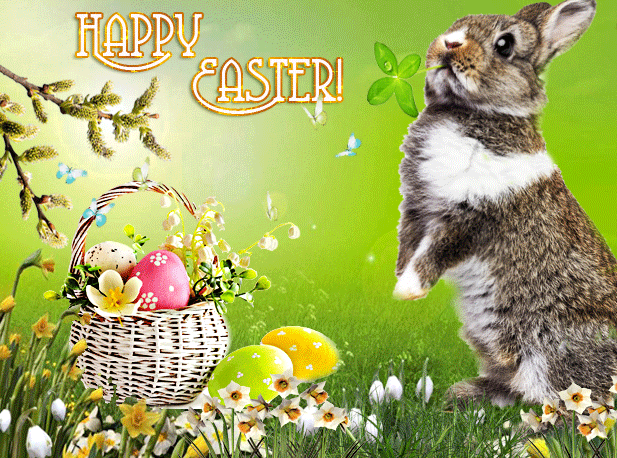 Happy Easter, Rabbit