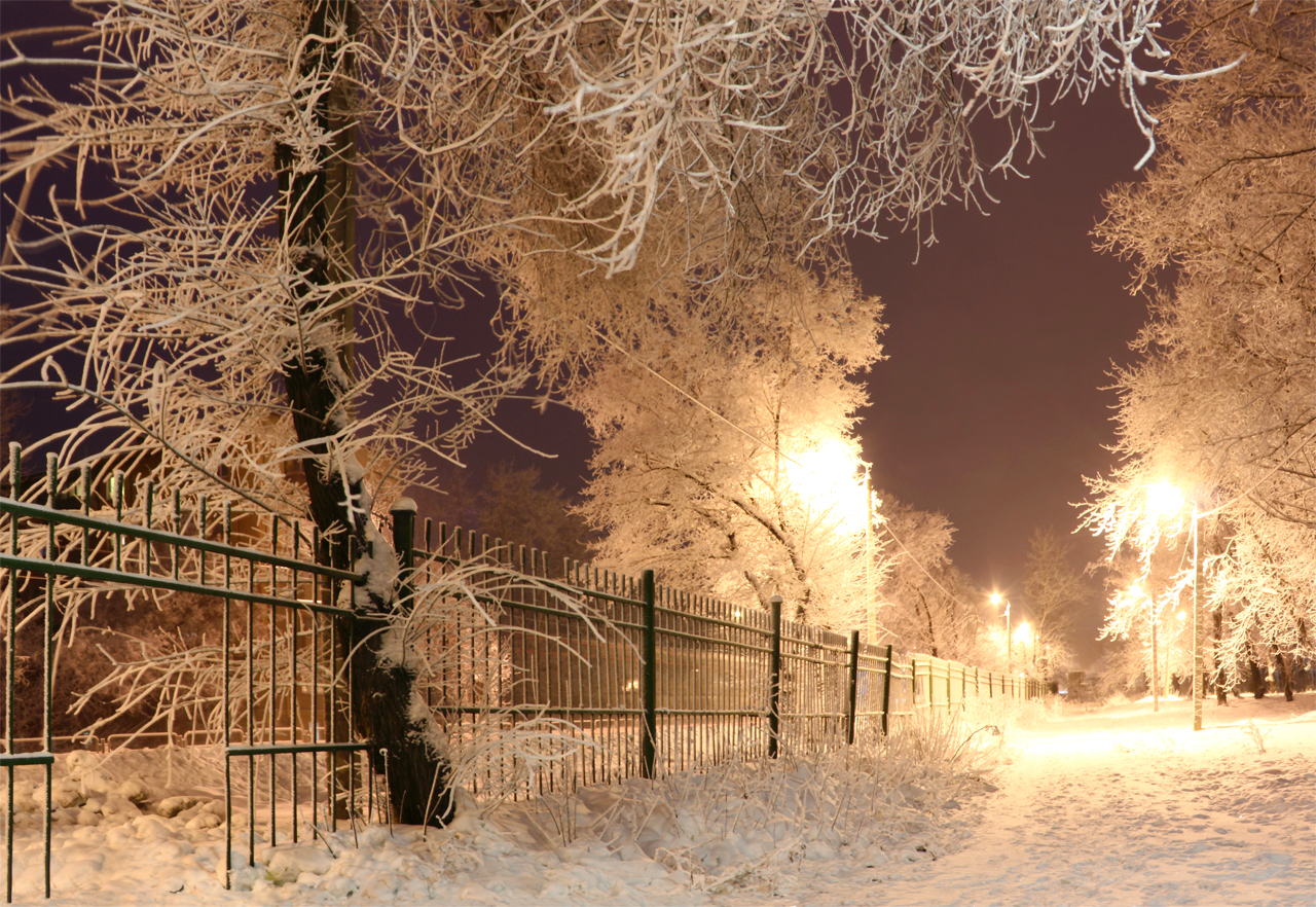 Фото Ночной Зимы