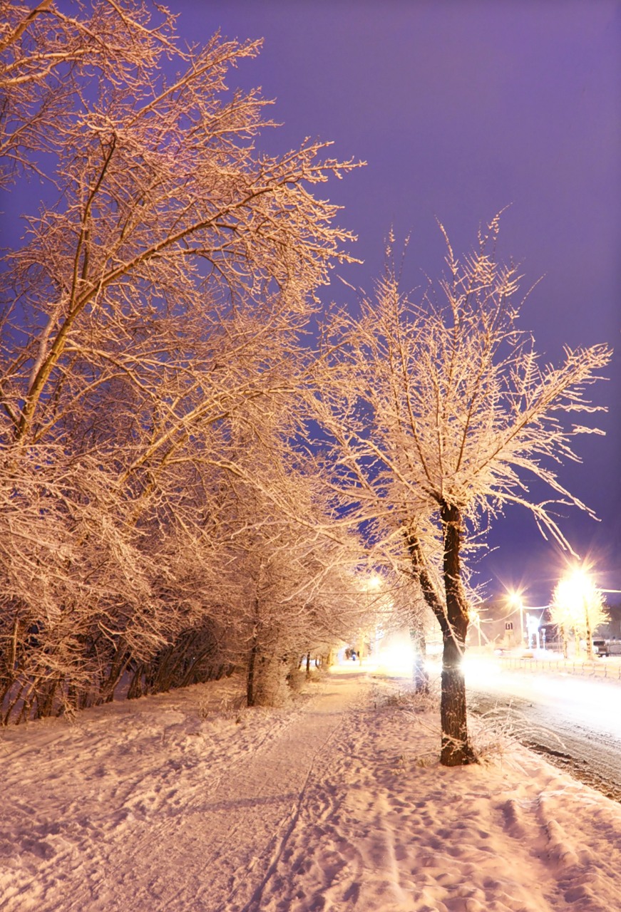 Фото Зимы Ночью