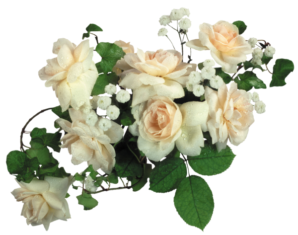 Самые Красивые Розы В Мире Фото Букеты