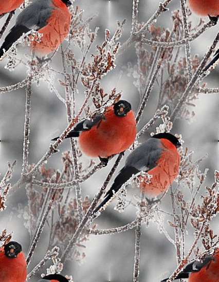 Птицы снегири на заставку сайта
