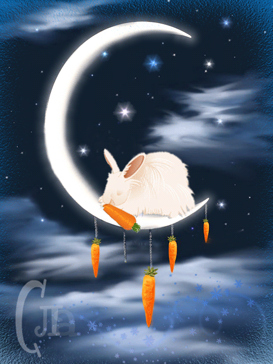 Сладких снов ! Кролик на луне