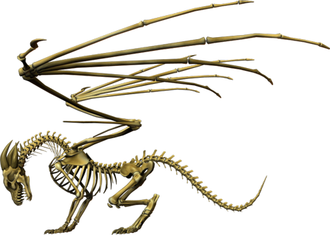 Скелет дракона
