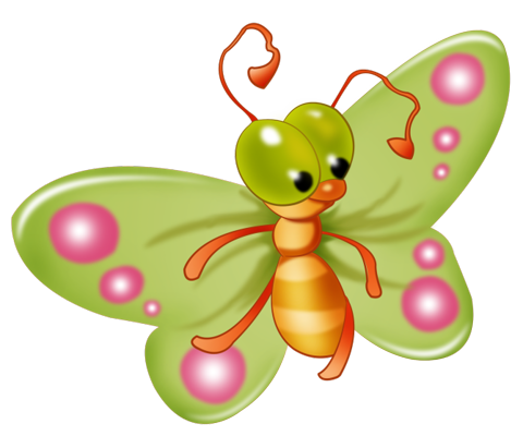 Бабочка салатового цвета