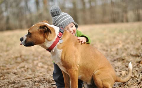 Собака и ребенок в обнимку