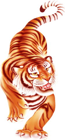 Картинка с тигром на прозрачном фоне