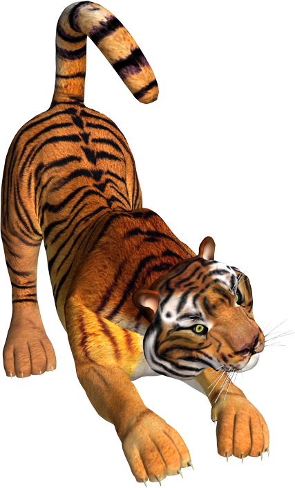 Рисунок 3Д тигр