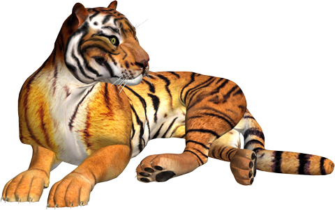 PNG тигры для Photoshop
