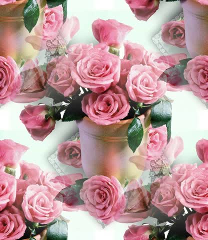 Фоновые розовые розы