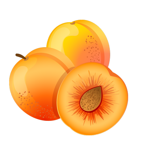 Рисованные абрикосы
