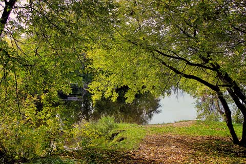 Ранняя осень у реки