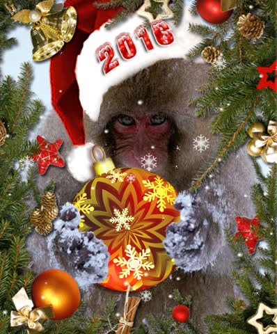 Новогодняя обезьяна 2016