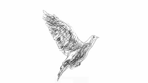 Птица, рисунок карандашом, машет крыльями