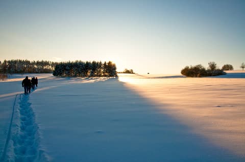 Фотография зима, снег, солнце