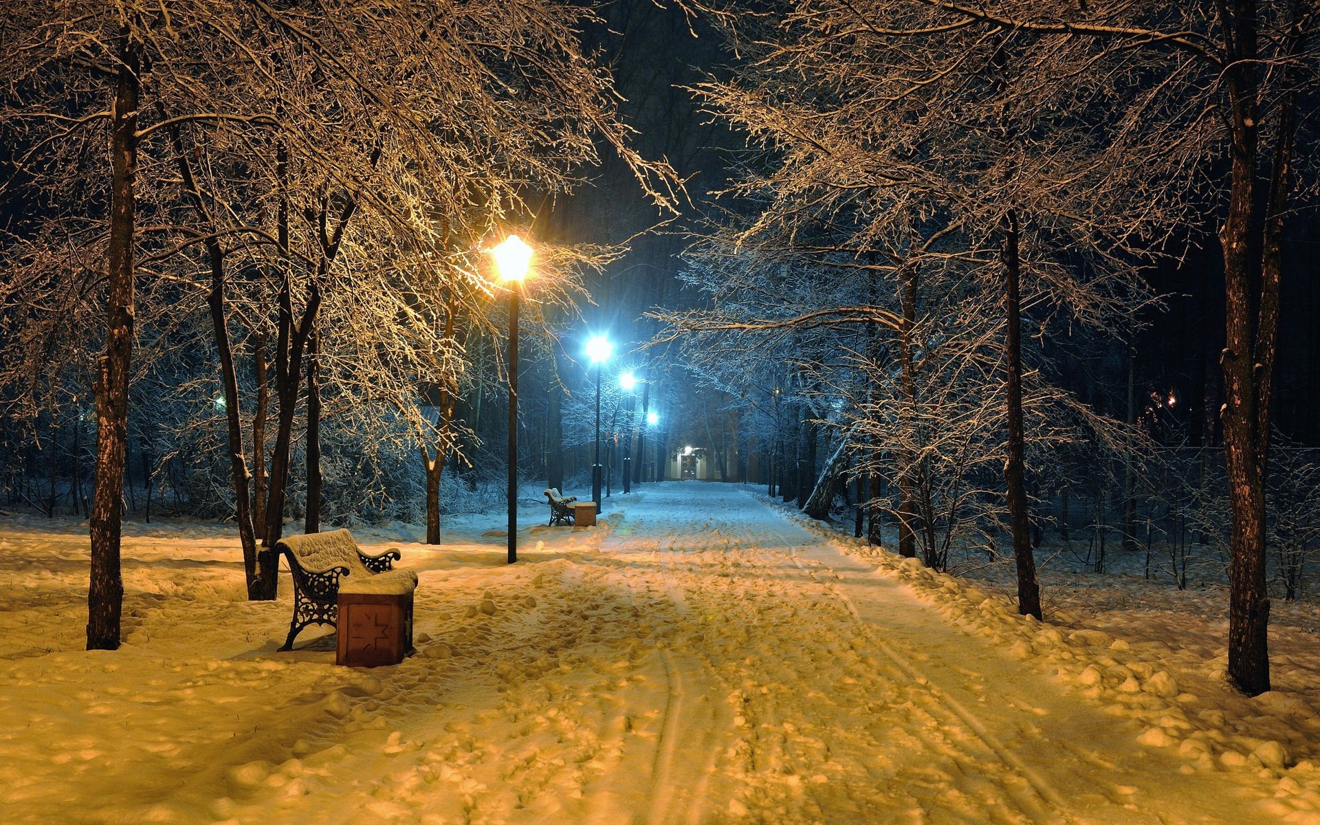 Вечер в зимнем парке