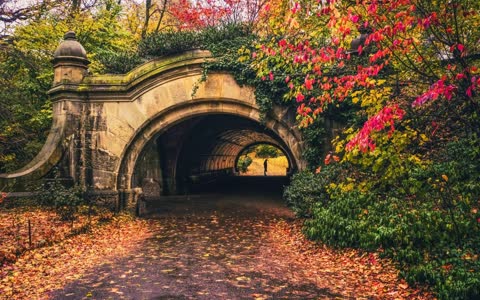 Осенняя красота, арка, парк