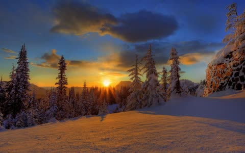 Закат над зимним лесом