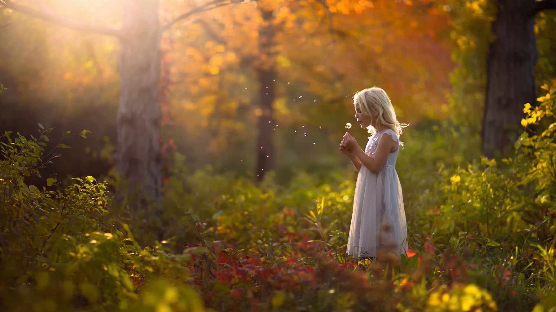 Девочка в осеннем лесу с одуванчиком