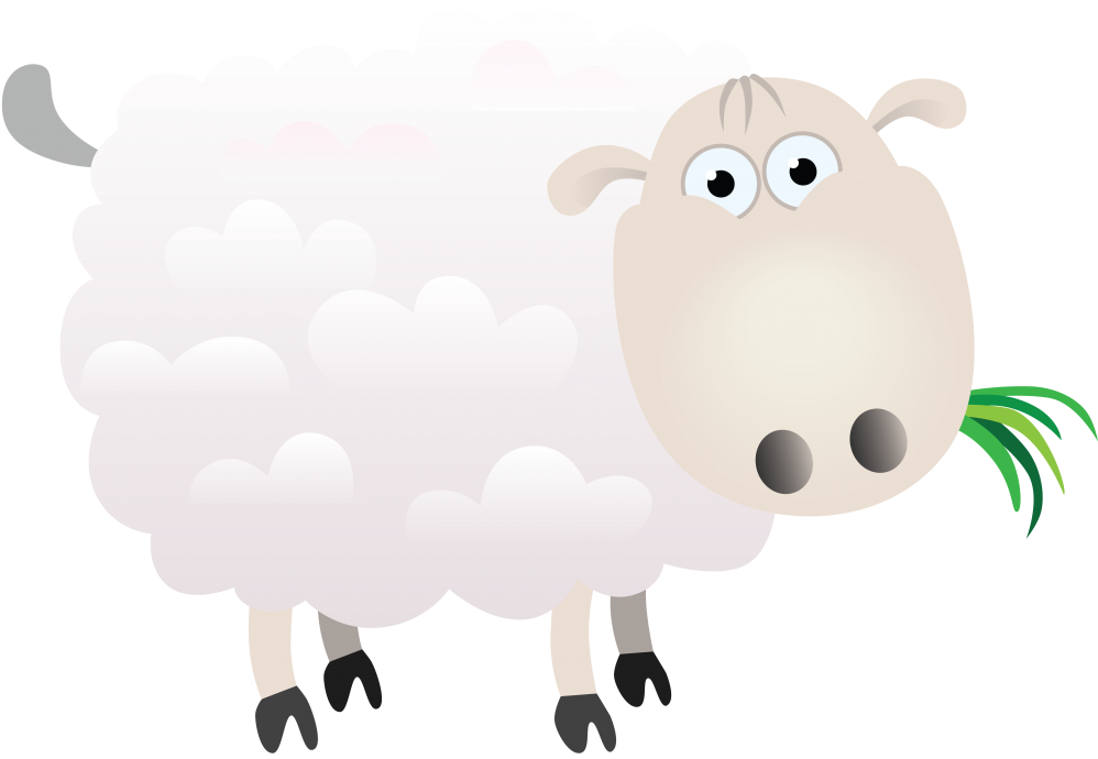 Картинка овечка жующая траву