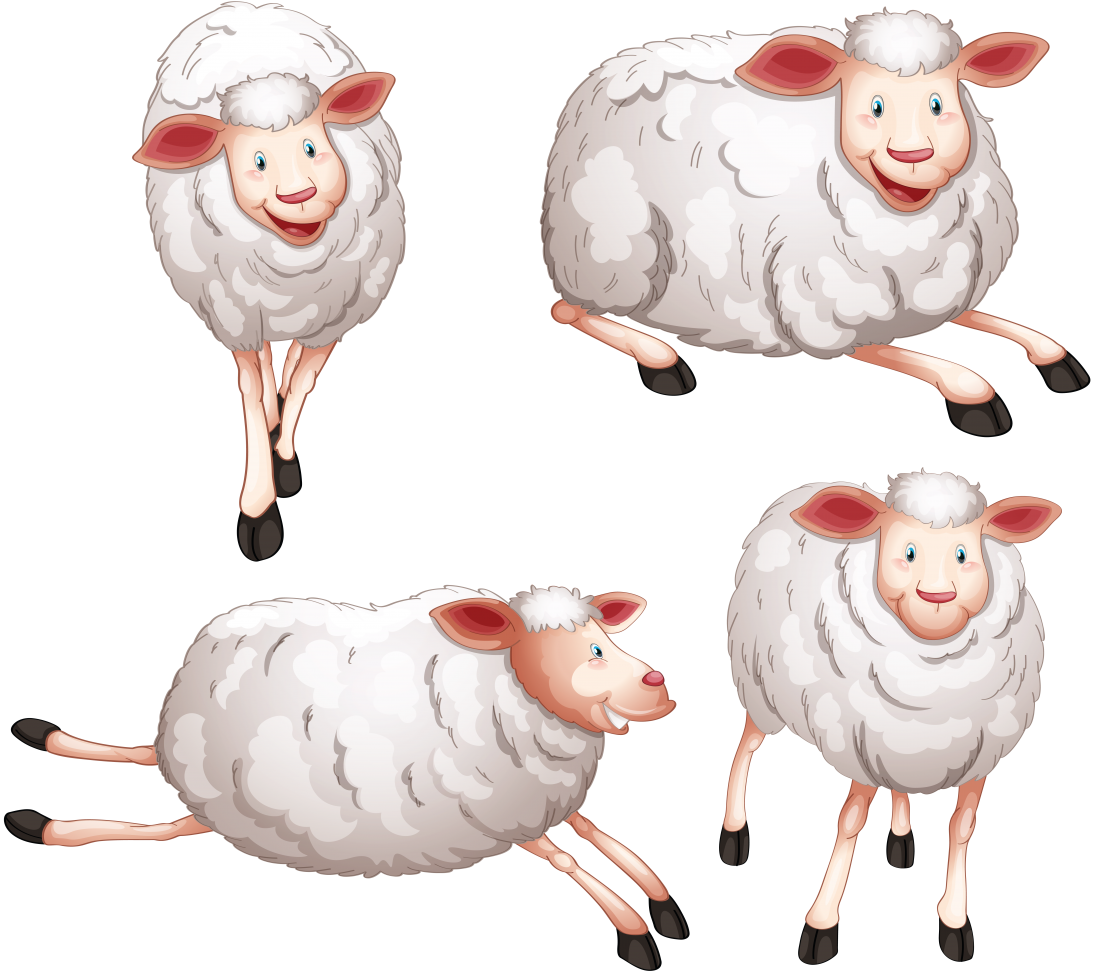Клипарт овцы