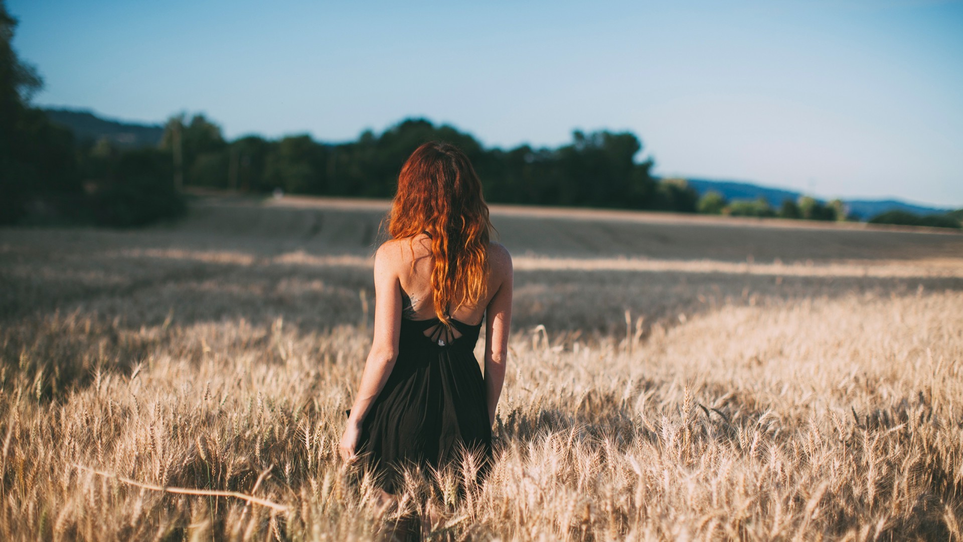 Девушка стоит спиной в поле, колосья