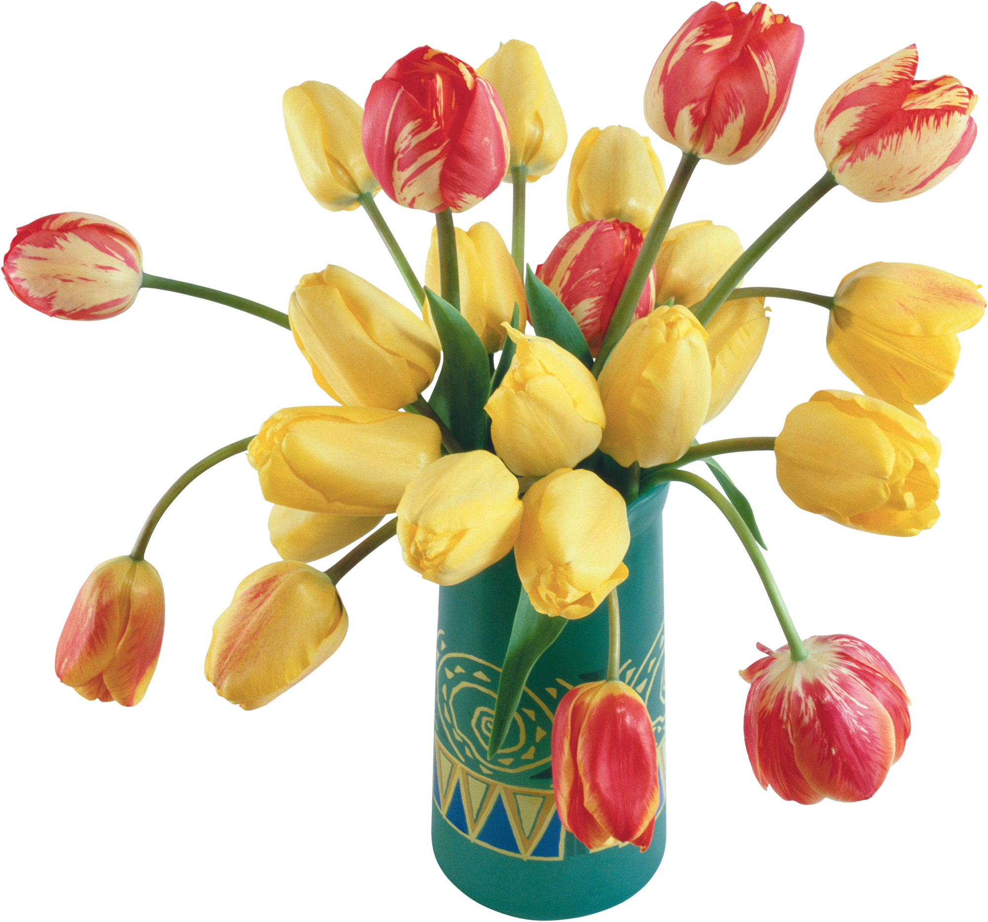 PNG фото тюльпаны в вазе