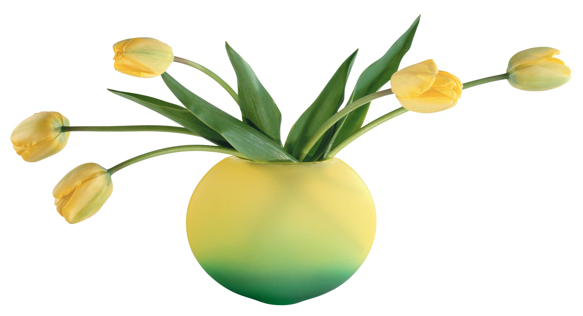 Тюльпаны, цветы, желтые, вазочка
