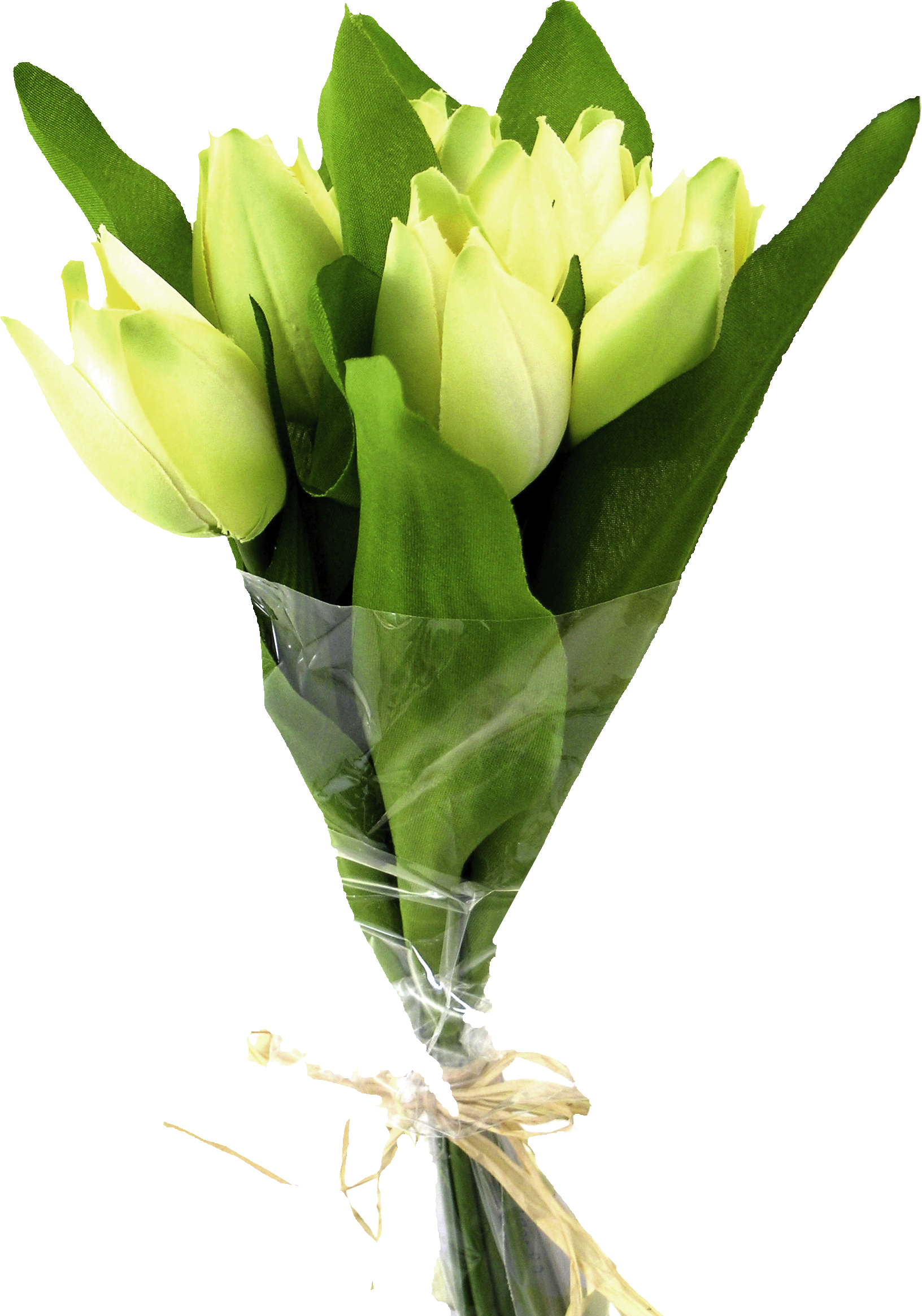 Светло-белый букет тюльпанов