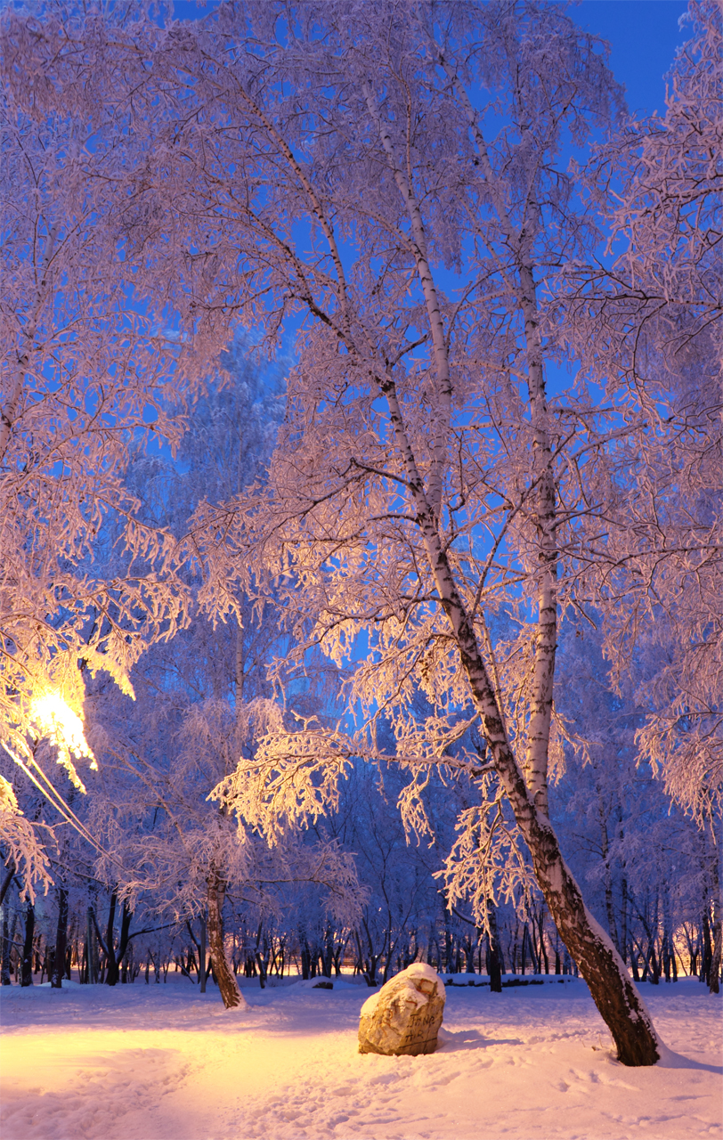 Ночное фото зимы