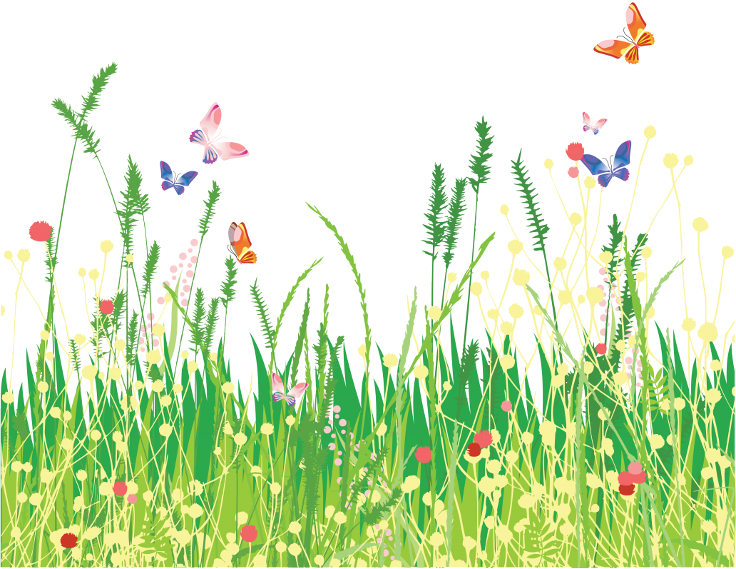 Картинка трава, бабочки