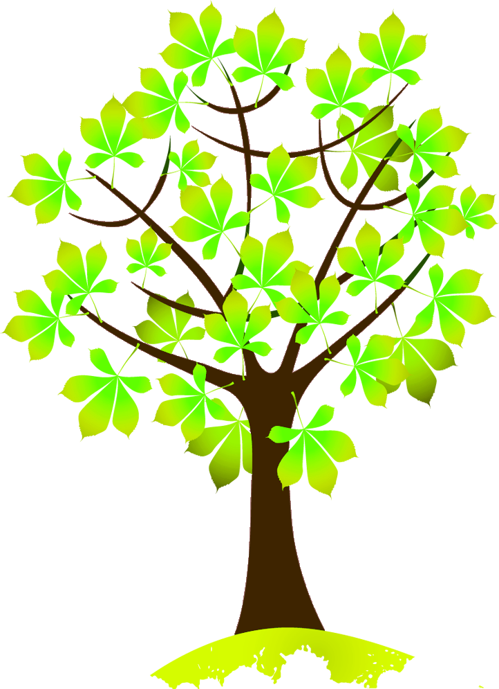 PNG рисунки деревьев