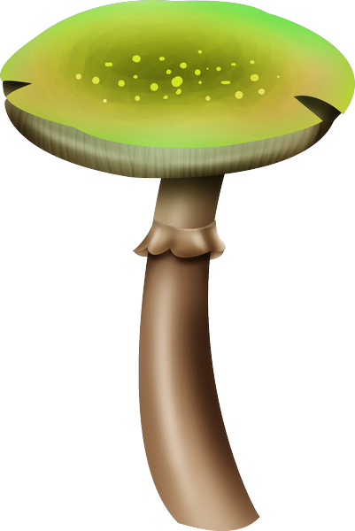 Коричневые грибы