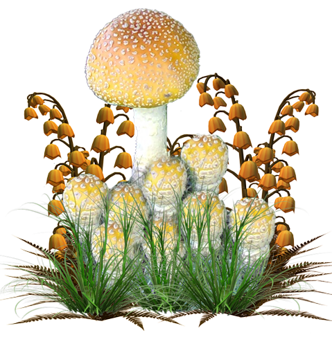 Рисунок грибы и растения