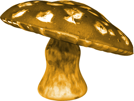 Картинки грибы
