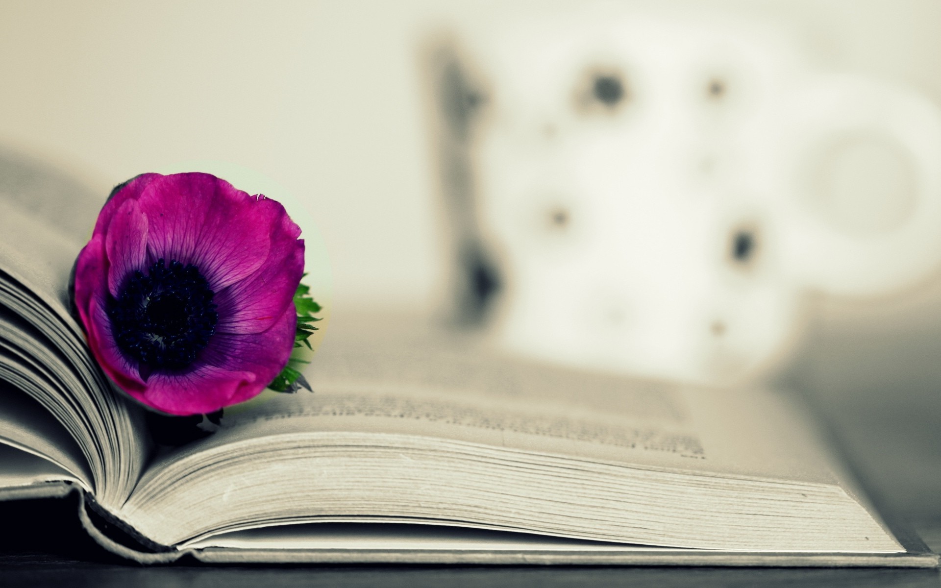 Сиреневый цветок в книге