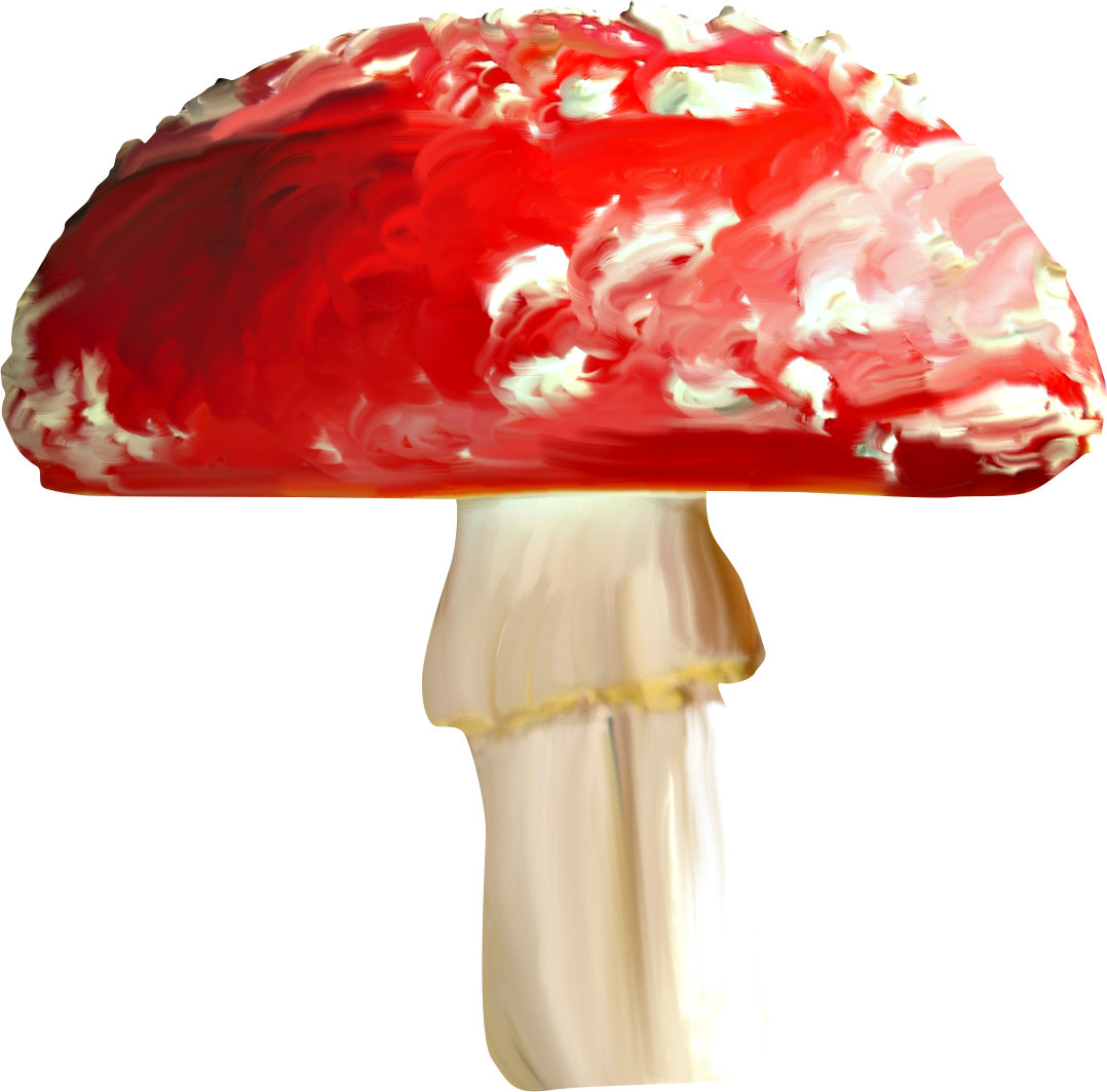 Рисунок большой красный гриб