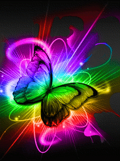 Обои разноцветная бабочка