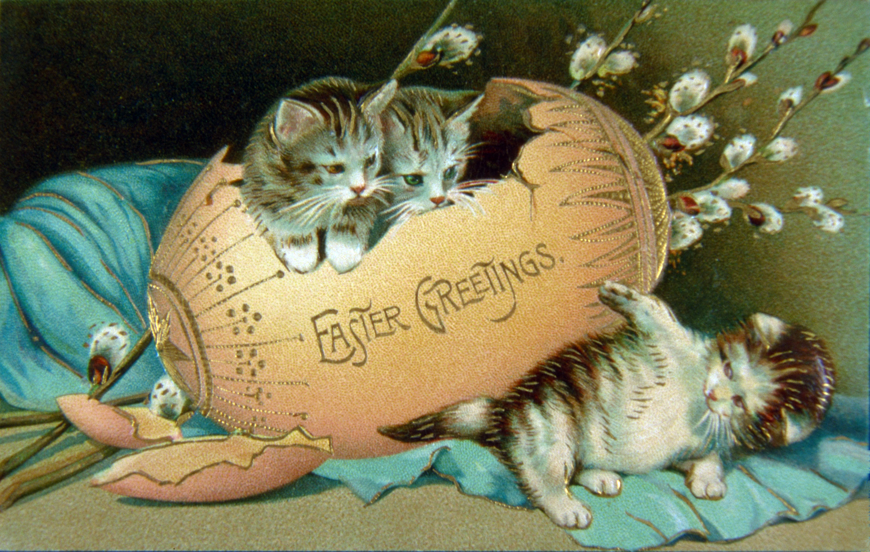 Пасха с котятами, пасхальное яйцо