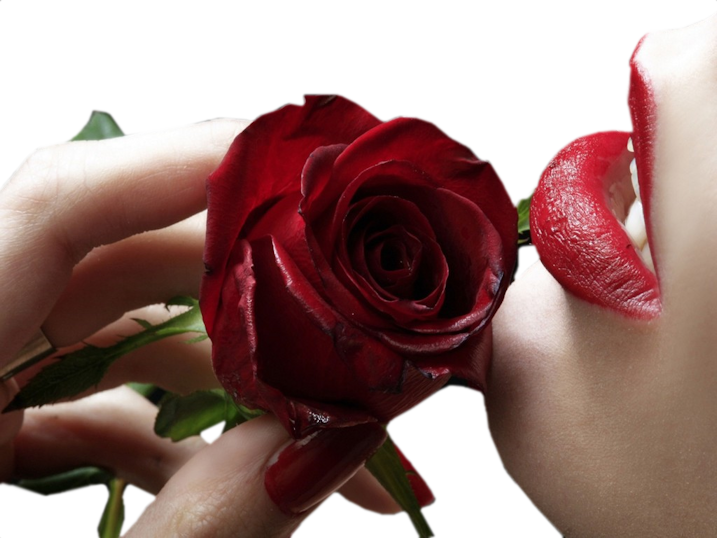 Фото роза, гламур, губы - Девушки - Картинки PNG - Галерейка