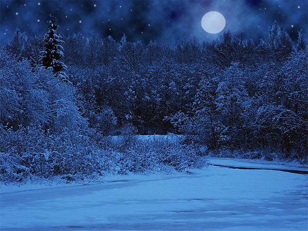 Снег, деревья, ночь