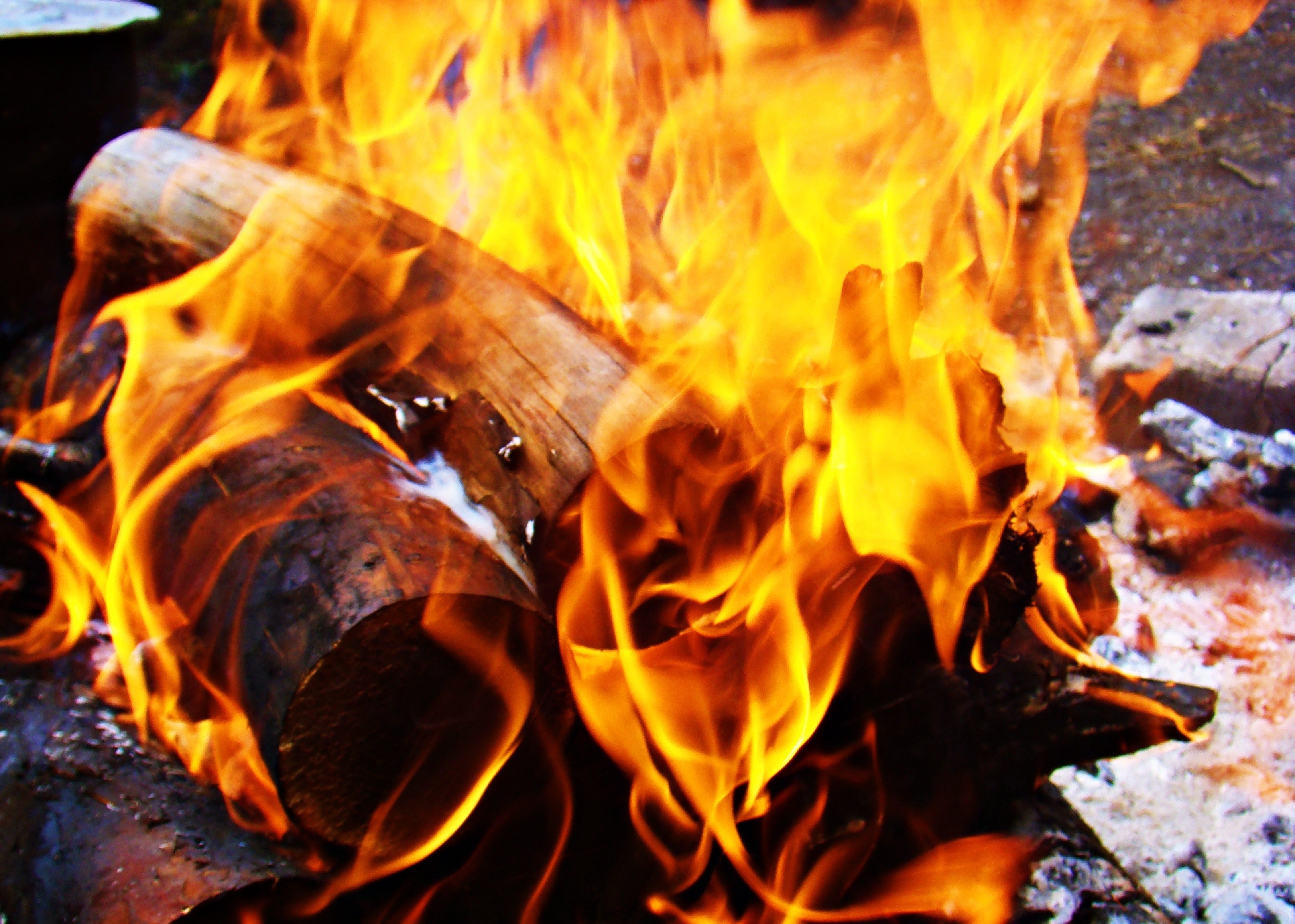 Фото костер, горящий огонь