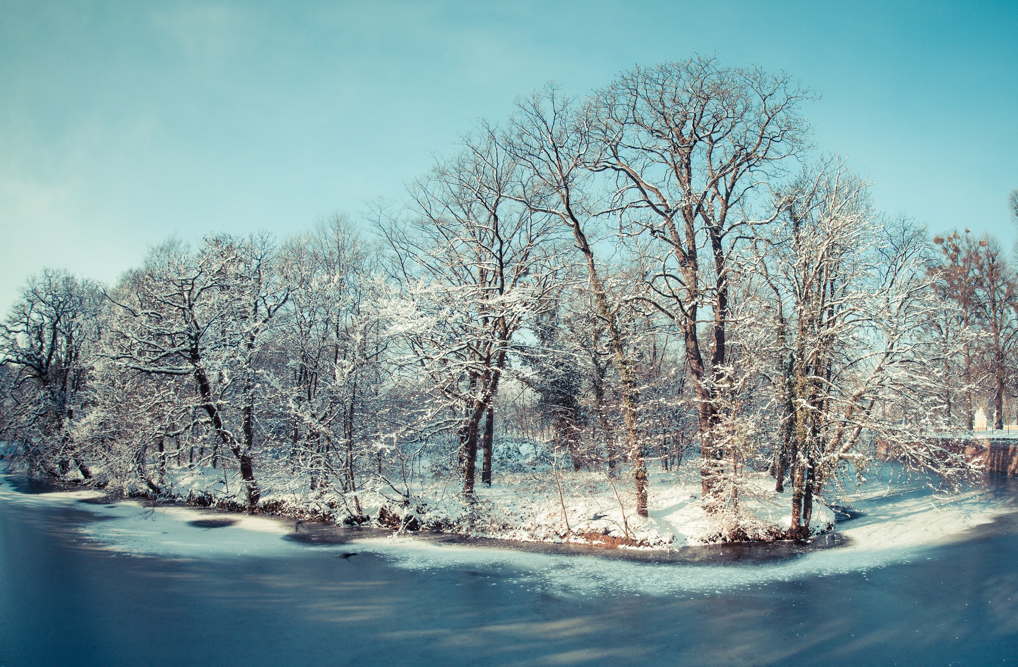 Деревья, зима, пейзаж, снег