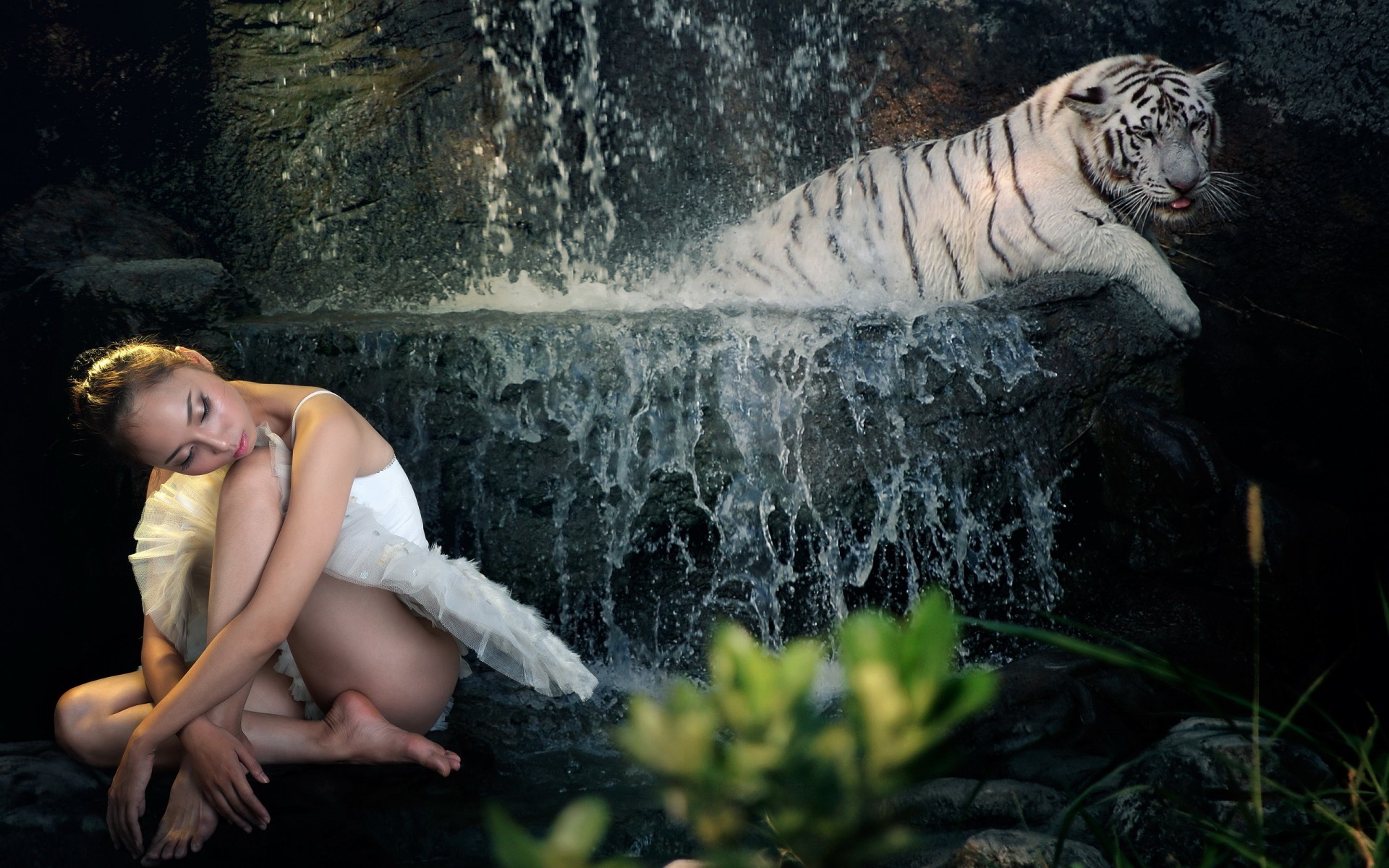 Девушка, водопад, тигр