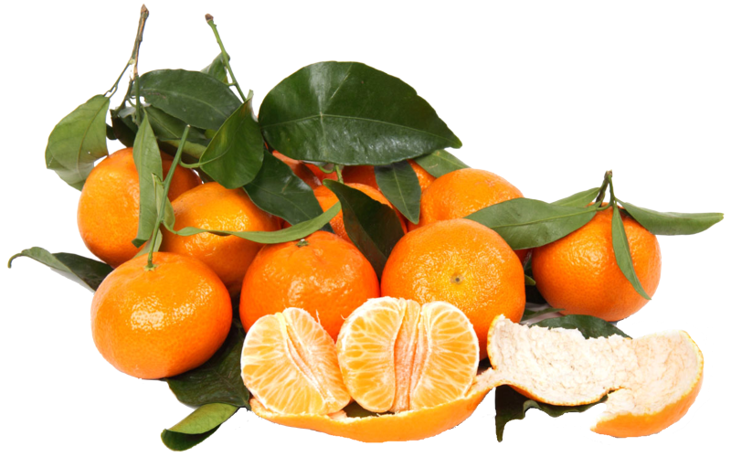 Клипарт апельсин