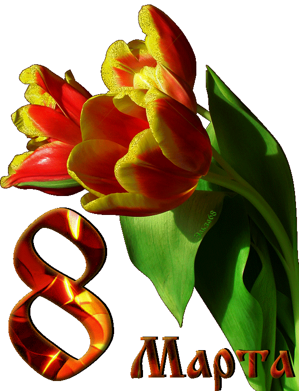 Тюльпаны на 8 Марта, цветы