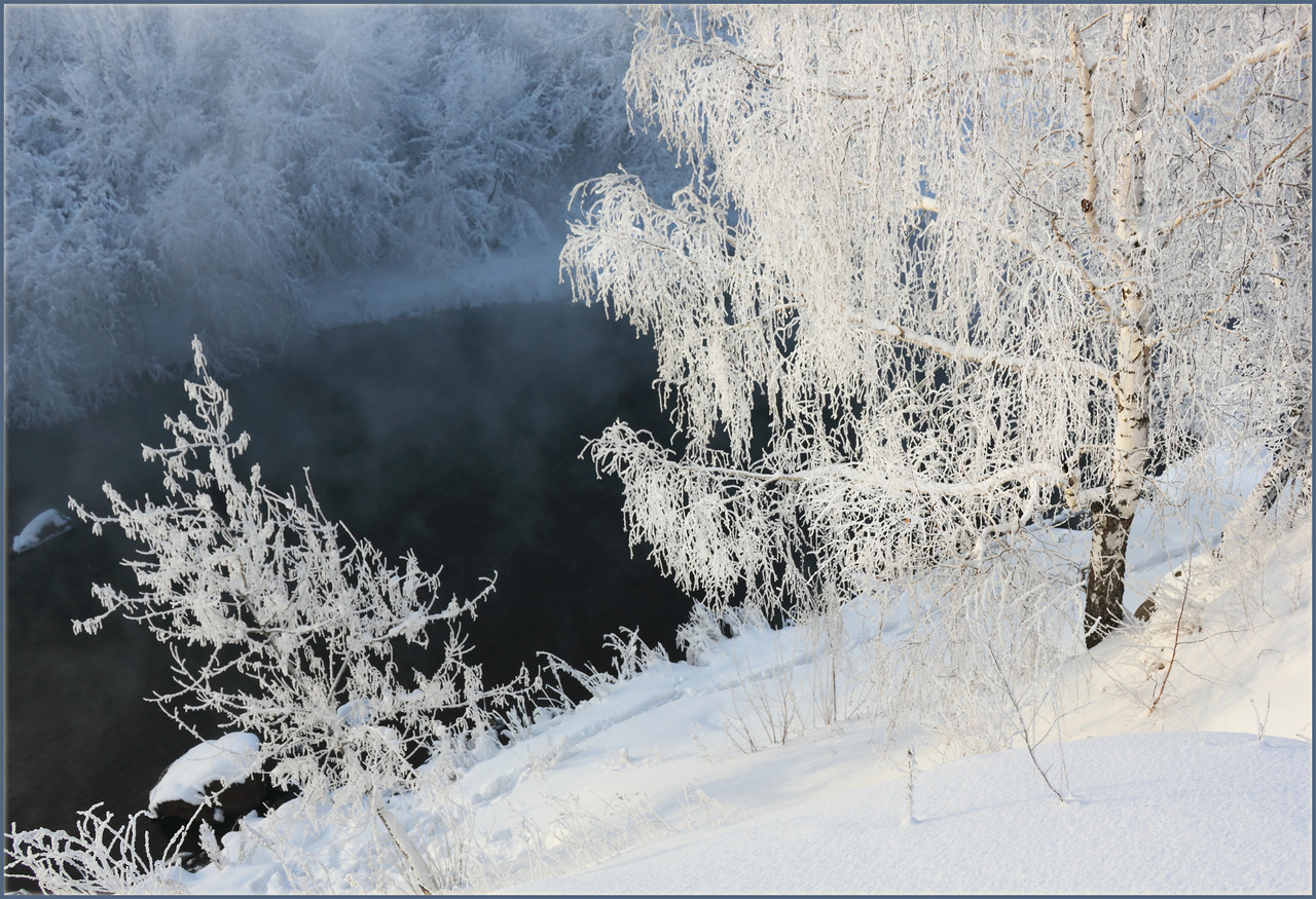 Береза в снегу у реки