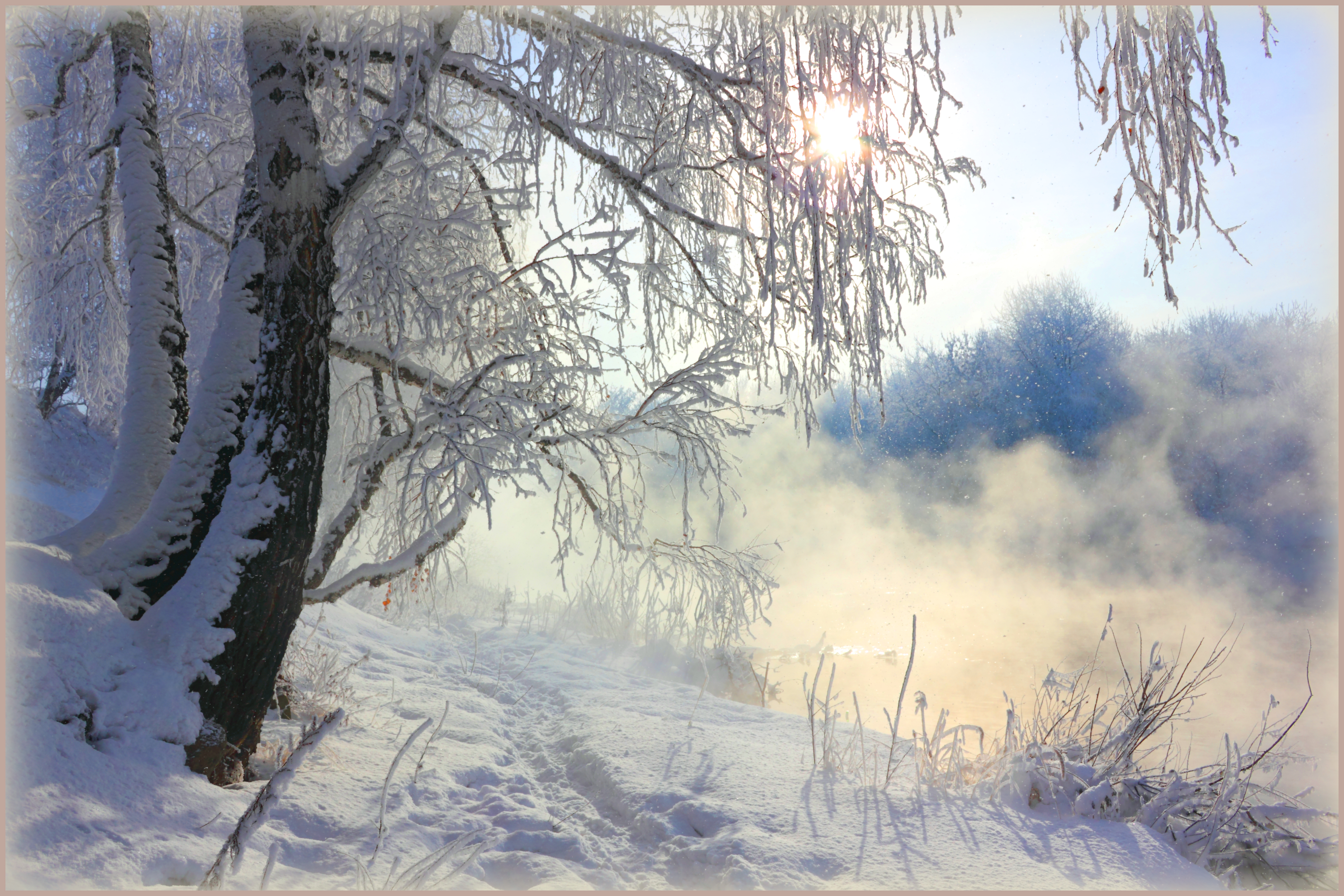 Фото зимней природы