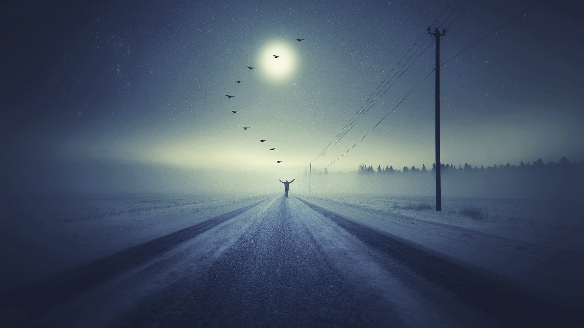 Зимняя дорога, туман, луна, вечер, птицы